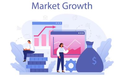 The Importance of Annual Audits for Business Growth